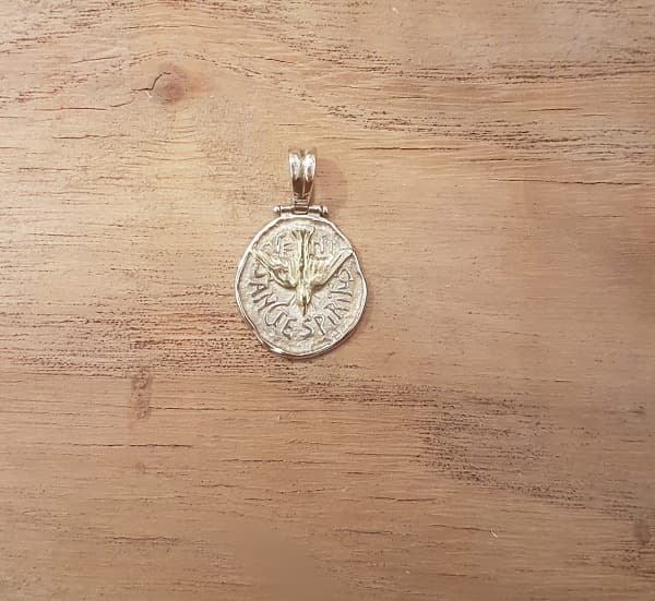 Medalla con forma mediana Espíritu Santo en plata 900 con centro de oro, 22 mm